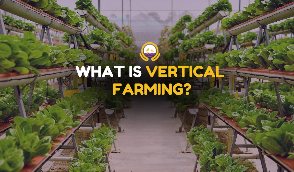 What is Vertical Farming